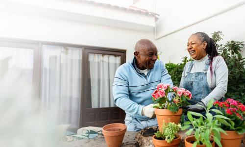 Joint Revision thumbnail