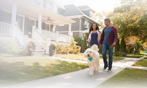 Primary Care thumbnail